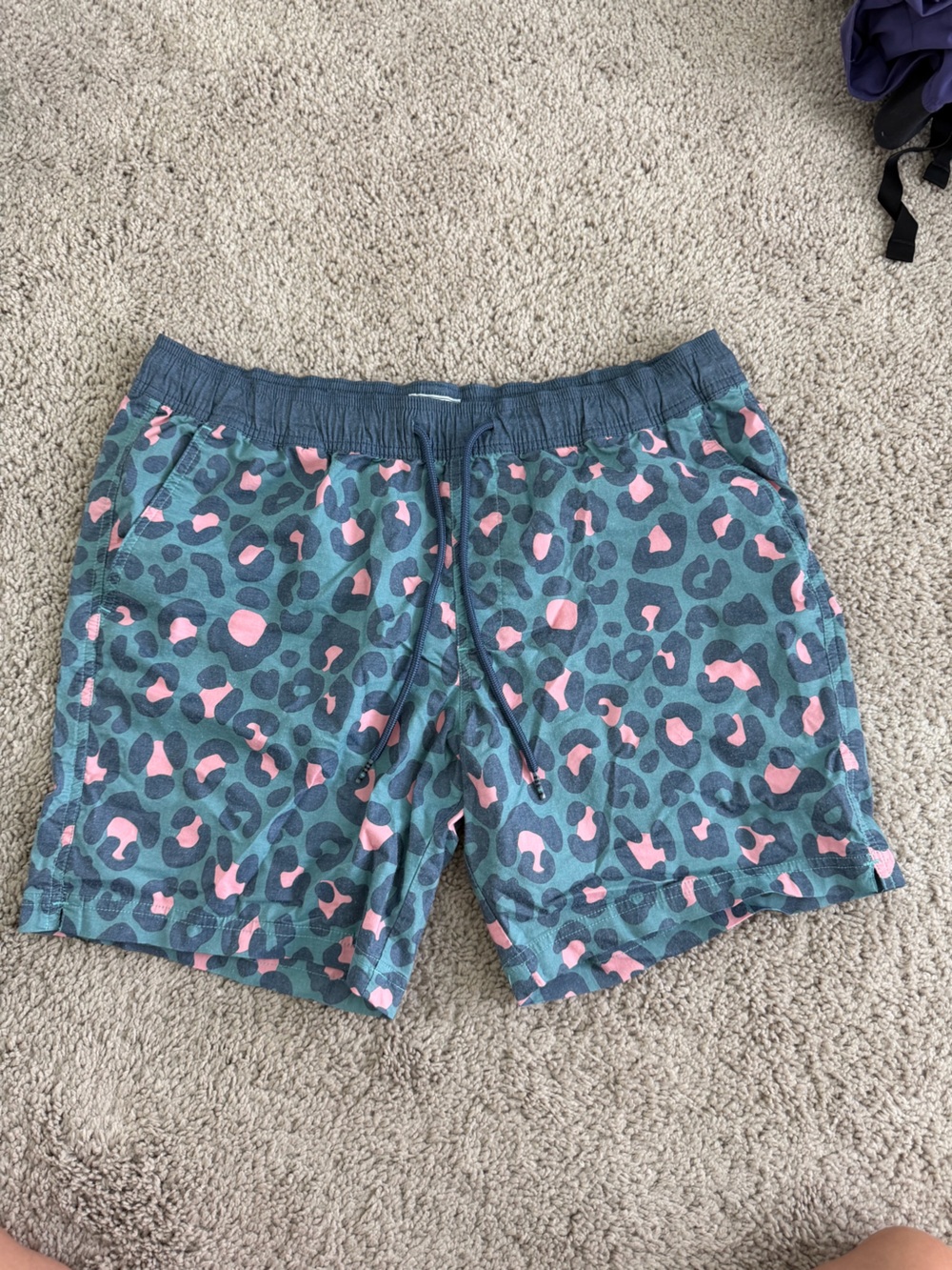 Teal and Pink Leopard Print Men's Shorts